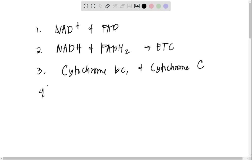 SOLVED 1.)Which of the four types of electron carriers in the ETC are