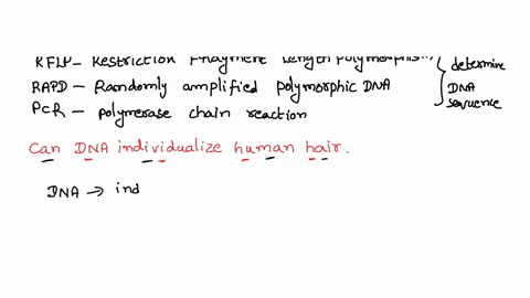 is-it-possible-to-determine-whether-hair-came-from-a-deceased-individual-can-dna-individualize-a-human-hair-can-the-body-area-from-which-a-hair-originated-be-determined-can-the-racial-origin-35452
