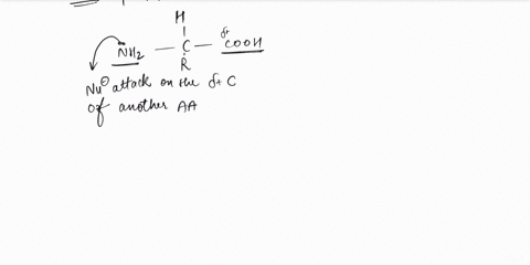 which-of-the-following-statements-about-peptide-bonds-are-true-peptide-bonds-form-from-nucleophilic-attack-by-an-electron-pair-on-an-alpha-amino-nitrogen-atom-on-an-alpha-carboxyl-carbon-ato-22323