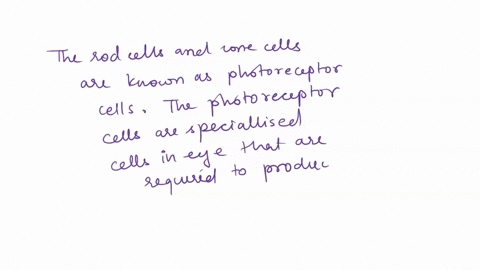 the-light-sensitive-inner-surface-of-the-back-of-the-eye-which-contains-rods-and-cones-is-called-the-_____-04201