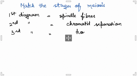 match-the-stages-of-meiosis-shown-in-the-image-below-with-the-correct-descriptions-choose-choose-choose__-choose-choose-choose-choose-choose-56352