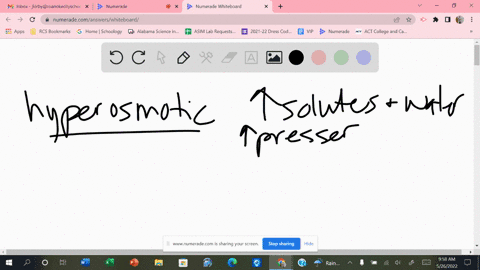 for-the-following-question-1-select-the-correct-answer-and-2-explain-why-your-answer-is-correct-with-a-paragraph-a-hyperosmotic-solution-is-a-hypertonic-b-hypotonic-c-isotonic-d-not-enough-i-52786