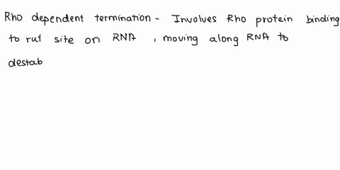 compare-and-contrast-the-two-different-methods-of-transcription-termination-in-prokaryotes-provide-a-detailed-explanation-of-the-mechanism-for-both-78388