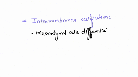 put-the-following-steps-of-intramembranous-ossification-in-the-correct-order-question-4-options-osteoblasts-become-encased-in-crystalized-matrix-they-then-differentiate-into-osteocytes-blood-vessels-g