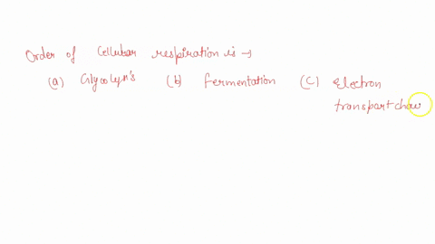 which-of-the-following-options-state-the-stages-in-cellular-respiration-in-the-correct-sequence-05824