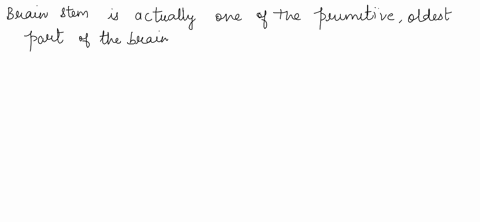 question-21-according-to-research-the-third-most-sophisticated-and-most-recently-evolved-portion-of-the-brain-which-helps-us-to-think-logically-and-analytically-is-the-brain-stem-rvo-falso-q-60952