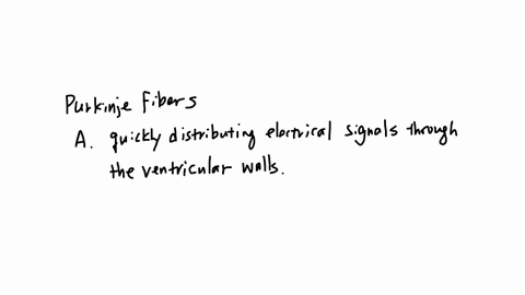 the-purkinje-fibers-in-the-intrinsic-conduction-system-are-responsible-for-a-quickly-distributing-electrical-signals-throughout-the-ventricular-walls-b-initiating-the-heartbeat-c-delaying-electrical-s