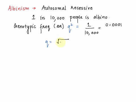 albinism-is-a-recessive-autosomal-mutation-assume-hardy-weinberg-equilibrium-in-a-population-if-1-in-10000-of-the-people-in-a-population-is-an-albino-what-percentage-of-this-population-will-62012
