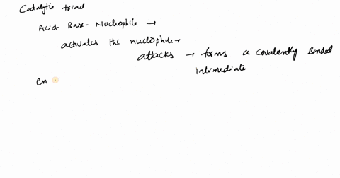 catalytic-triads-consisting-of-acid-base-and-nucleophilic-residues-such-as-the-asp-his-ser-triad-found-in-chymotrypsin-are-commonly-found-in-protease-enzymes-what-other-two-amino-acid-residu-55595