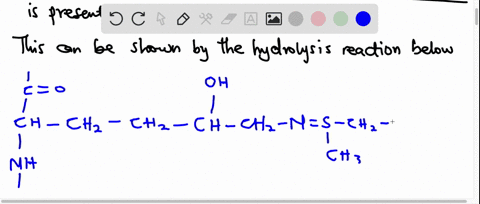 collagen-iv-which-occurs-in-basement-membranes-contains-a-sulfilimine-bond-colored-red-in-the-struct-51686