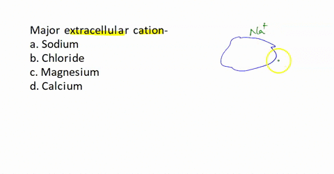 what-is-the-major-extracellular-cation-a-sodium-b-chloride-c-magnesium-d-calcium-2-99747