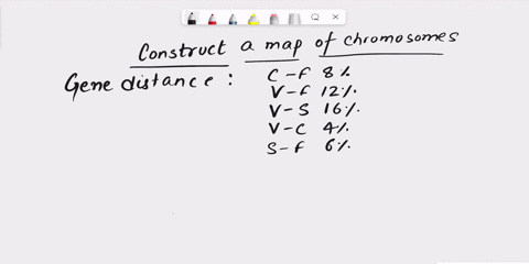 construct-a-map-of-the-chromosome-from-the-following-recombination-frequencies-between-individual-pairs-of-genes-c-f-8-v-f-12-s-v-16-v-c-4-and-s-f-6-explain-why-the-gene-recombination-freque-04207