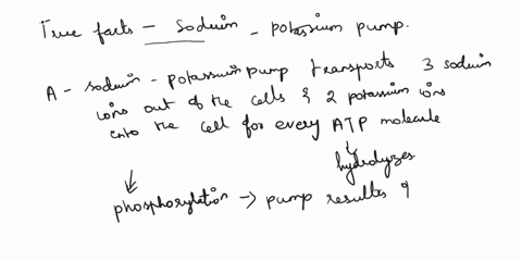 question34-all-of-the-following-facts-are-true-regarding-the-sodium-potassium-pump-except-o-aphosphorylation-of-the-pump-results-in-the-transport-of-three-potassium-ions-out-of-t-o-bthe-pump-89531