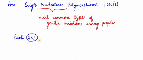the-human-genome-project-has-demonstrated-that-in-humans-of-all-races-and-nationalities-approximat-2-31888