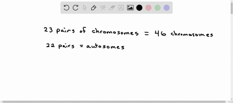question-2-in-which-type-of-cell-are-your-sex-chromosomes-located-0-a-somatic-cells-0-b-neither-c-sex-cells-dboth-49937