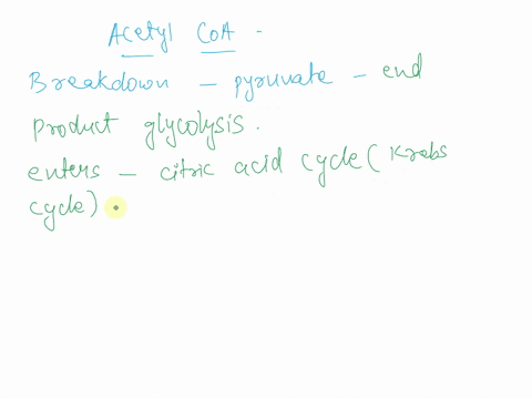 which-process-connects-glycolysis-and-the-citric-acid-cyclea-lactic-acid-formation-b-acetyl-coa-formationcelectron-transport-d-krebs-cycle-65386