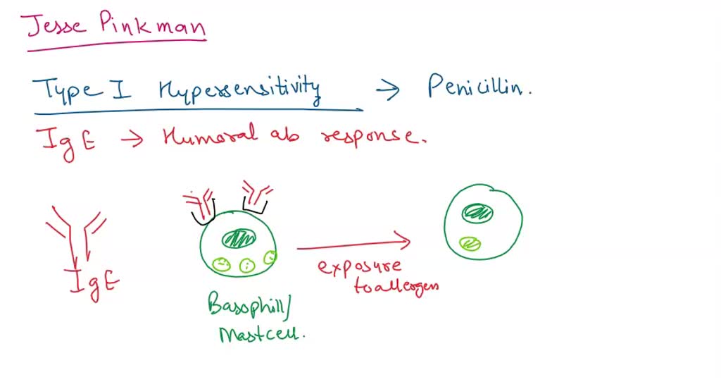 SOLVED Jesse Pinkman Has Been Prescribed Penicillin Despite The Chart   6e1b4b1a F71a 4278 A5c1 Cd3135ad248b Large 