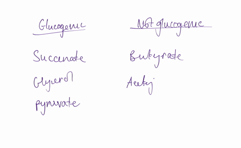 a-common-procedure-for-determining-the-effectiveness-of-compounds-as-precursors-of-glucose-in-mammal-57103
