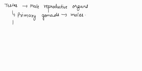 all-of-the-following-statements-accurately-describe-the-testes-except-athey-produce-testosterone-obthey-are-accessory-glands-cthey-are-male-gonads-odthey-produce-sperm-a-secondary-oocyte-pro-24907