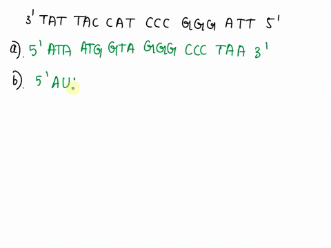 short-answers-given-the-following-dna-strand-answer-the-questions-below-3-tat-tac-cat-ccc-ggg-att-5-original-strand-rcplicate-this-strand-transcribe-this-strand-into-mrna-translate-this-stra-41179