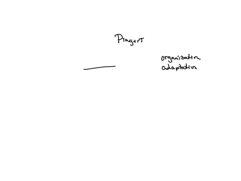 piaget-suggested-that-development-occurs-through-three-interrelated-processes-organization-adaptation-and-equilibration