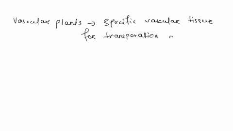 the-earliest-fossils-of-vascular-plants-were-formed-during-the-__________-period-a-ordovician-b-silu-15465