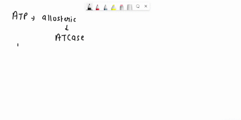 the-presence-of-atp-in-a-solution-containing-aspartate-transcarbamoylase-atcase-and-its-substrates-a-reduces-the-rate-at-which-atcase-converts-its-substrates-into-product-b-has-no-effect-on-67394