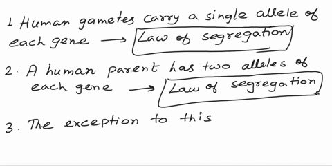 match-the-mendelian-law-to-the-example-law-of-segregation-or-law-of-independent-assortment-1human-gametes-carry-a-single-allele-of-each-gene-2a-human-parent-has-two-alleles-of-each-gene-3the-67732