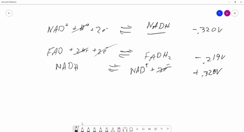 1-the-reduction-of-nad-to-nadh-and-the-reduction-of-fad-to-fadh2-proceed-by-the-following-half-reactions-nad-h-2e-nadh-e-0320-v-fad-2h-2e-fadh2-e-0219-v-calculate-delta-e-and-deltag-for-the-21783