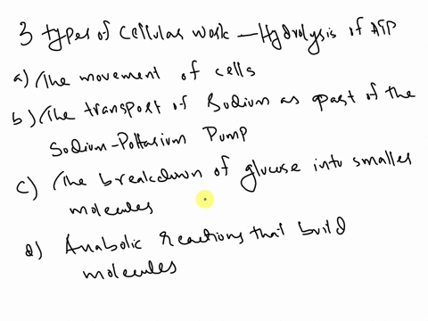 the-hydrolysis-of-atp-drives-three-types-of-cellular-work-which-of-the-following-is-not-an-example-of-how-to-cell-uses-atp-a-the-movement-of-cells-b-the-transport-of-sodium-as-part-of-the-so-04724