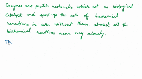 what-general-name-is-given-to-the-molecule-acted-on-by-an-enzyme-what-does-it-mean-to-say-that-an-en-76126