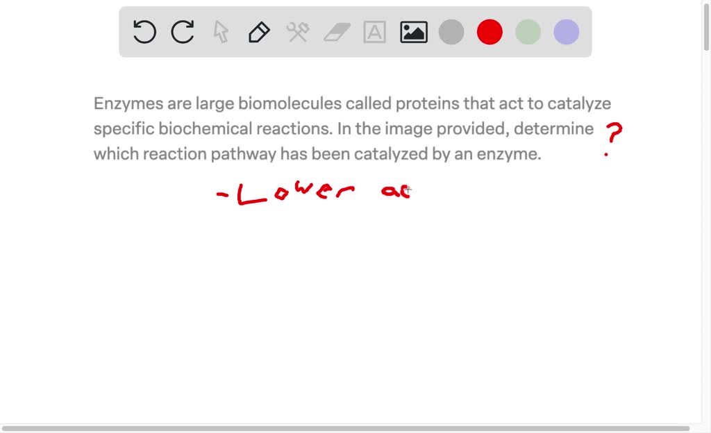 SOLVED Enzymes are large biomolecules called proteins that act to catalyze specific biochemical