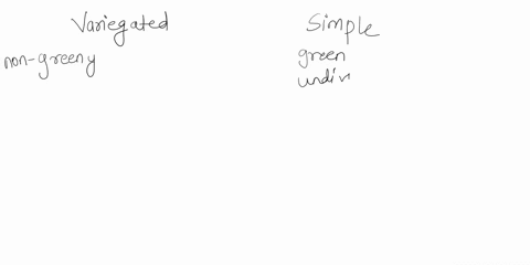 difference-between-variegated-and-simple-leaves-atleast-3-points-94756