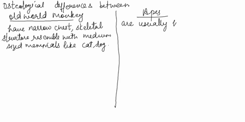 explain-three-osteological-differences-between-old-world-monkeys-and-apes-give-non-human-primate-examples-for-each-difference-86934