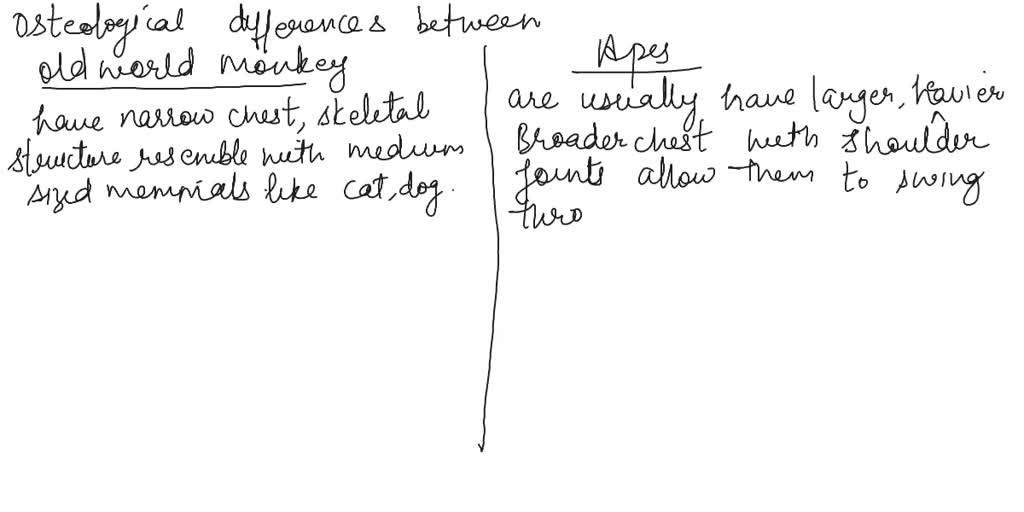 SOLVED: Explain three osteological differences between Old World