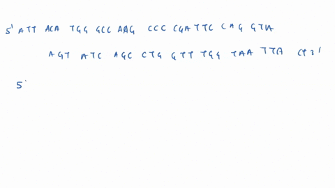 uloteut-donor-site-acceptor-site-ag-2-futlan-intertrnte-orf-h-attacatgggccaagcccgattcaggtaagtatcagcctggtttggtaattact-step-1-locate-potential-start-codons-is-the-sequence-stp-locate-the-first-96548