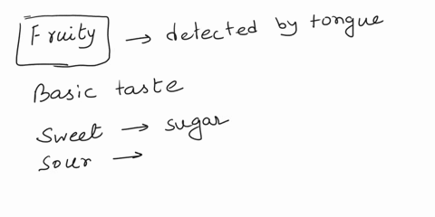 which-of-the-following-is-not-a-taste-sensation-that-can-be-detected-by-your-tongue-o-umami-or-savory-ofruity-o-salty-sweet-o-sour-o-bitter-29155