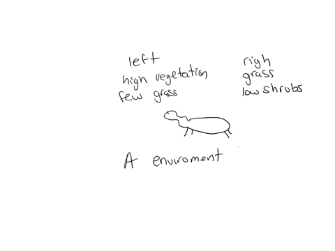 select-the-correct-answer-the-images-show-two-different-types-of-galapagos-tortoises-that-scientists-believe-descended-from-the-same-species-the-first-type-left-are-found-on-islands-that-hav-12216