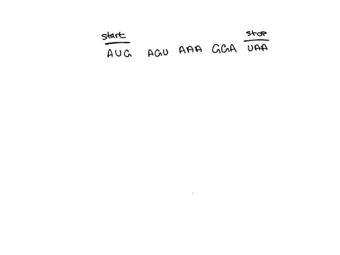 which-of-the-following-mutations-would-have-the-most-severe-effect-on-the-protein-made-from-this-strand-of-mrna-aug-agu-aaa-gga-uaa-auc-agu-aaa-gga-uaa-aug-agu-aag-gga-uaa-aug-agu-aaa-gga-ua-33354