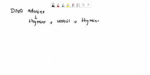 question-2-pcs-in-a-dna-molecule-adenine-bonds-to-thymine-and-guanine-to-cytosine-the-uracil-in-rna-bonds-to-the-thymine-in-dna-true-false-question-8-2-pts-if-one-strand-of-dna-is-cggtac-the-07736