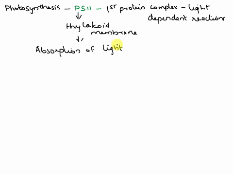 during-photosynthesis-photosystem-il-gives-electrons-to-the-electron-transport-chain-in-order-to-provide-the-calvin-cycle-with-while-photosystem-gives-electrons-to-that-will-also-be-used-by-65255