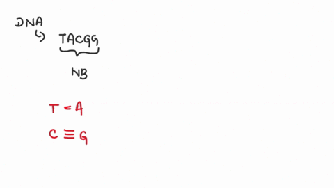 if-the-dna-is-tacgg-what-is-the-complementary-rna-after-transcription-20092