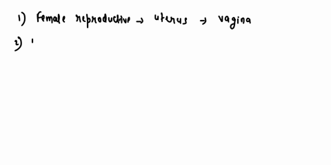 man-insibuctob-sacti0mgrouf-post-lab-laboratory-15-key-term-matching-ovarics-includesthe-mrerus-mterin-udes-vagana_-lernii-igenitalia-and-ma-many-glanos-part-ortne-broad-llqament-inal-atlach-80576