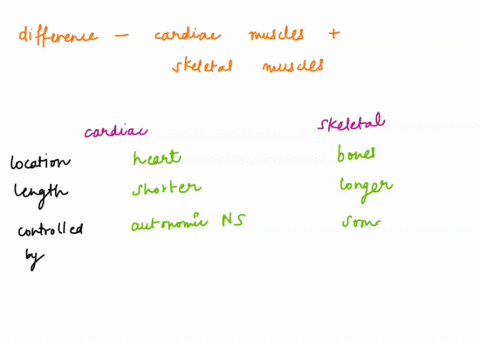 what-are-the-characteristics-that-distinguish-cardiac-muscle-from-skeletal-muscle-53795