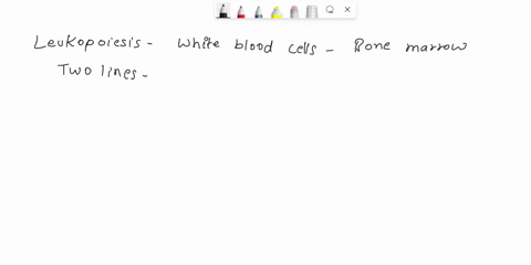 31-what-is-leukopoiesis-this-process-has-two-lines-it-can-go-down-what-are-the-tow-lines-and-what-cells-result-from-each-line-32what-are-platelets-cells-33platelets-are-formed-by-thrompopoie-57722