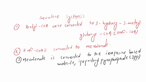 write-a-balanced-stoichiometric-equation-for-the-synthesis-of-squalene-from-acetyl-coa-indicate-the-reactions-you-used-to-determine-your-answer-and-show-all-work-61538