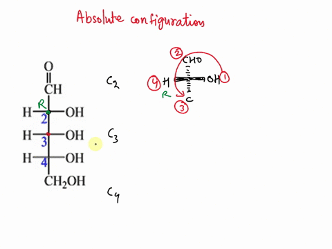 consider-the-fischer-projection-of-the-following-sugar-molecule-ch-h-oh-h-oh-h-oh-chzoh-the-absolute-configuration-at-c2-c3-and-c4-are-a-2r-3r-4r-b-2s3s45-2s3r-4r-2r-354s-52044