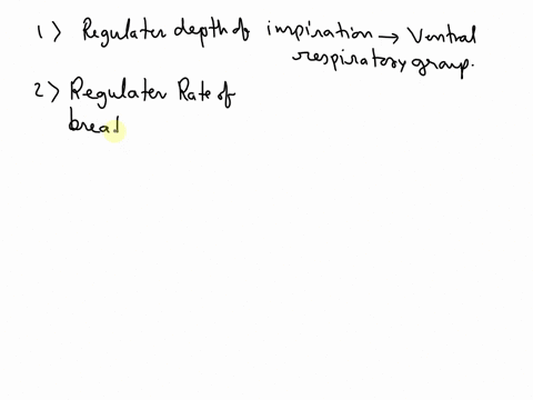 05075pts-question-10-match-the-indicated-centers-in-the-brain-to-theirrole-in-controlling-respiration-regulates-depth-of-pneumotaxic-cen-inspiration-regulates-rate-of-breathing-pneumotaxic-c-40318