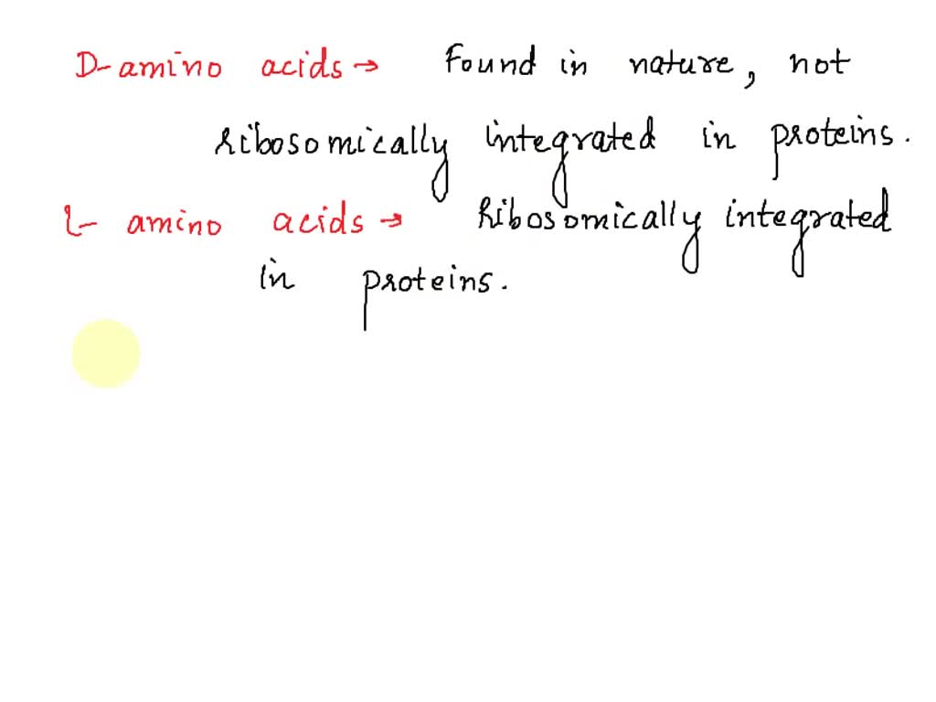 SOLVED Name Made up of Could a life form that evolved on a