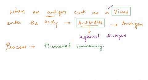 coaching-activity-protecting-against-infectious-diseases-and-sexually-transmitted-infections-macrophages-when-an-antigen-such-as-enters-the-body-the-body-reacts-by-producing-suppressor-t-cel-20325